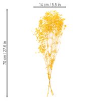 Product Dried Gypsophila Dried Flowers Yellow Baby's Breath. Decorative flowers for seasonal centrepieces 70cm