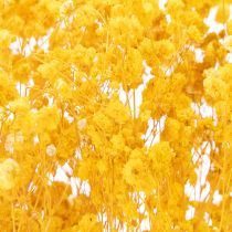 Product Dried Gypsophila Dried Flowers Yellow Baby's Breath. Decorative flowers for seasonal centrepieces 70cm