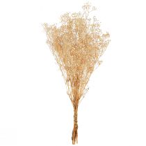 Product Baby's Breath White Dried Flowers Gypsophila 50cm 55g