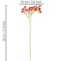 Product Artificial baby's breath, red, bouquet as flower decoration, 30cm, 10 pieces