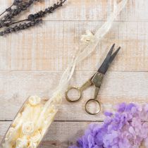 Product Ribbon Valentino cream 15mm 5m