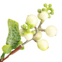 Product Firecracker Bush Snowberry Artificial L74cm