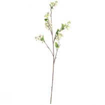 Product Firecracker Bush Snowberry Artificial L74cm