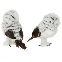 Product Snowy Owl Decorative Figurine, Owl Pair, White and Brown, 12cm High, 2 Pieces