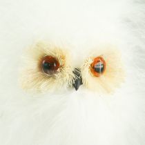 Snowy owl on a wooden stick 7cm L28cm 6pcs