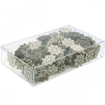 Product Snowflakes wood glitter mix Ø2cm 144p