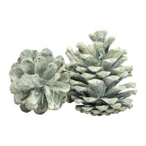 Product Black pine cones green frosted natural decoration 5–7cm 1kg