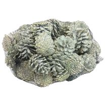 Product Black pine cones green frosted natural decoration 5–7cm 1kg