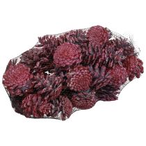 Product Black pine cones red natural decoration frosted 5–7cm 1kg