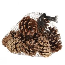 Product Black pine cones, natural decorative cones, pine cones, 5-8cm, 250g