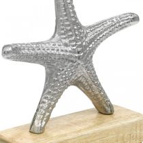 Metal starfish, maritime decoration, decorative sculpture silver, natural colors H18cm