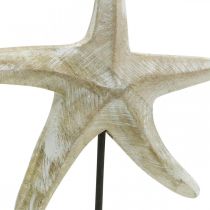 Starfish to place, maritime wood decoration natural color, white H23.5cm