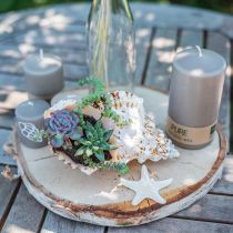 Product Knobs starfish white 30pcs