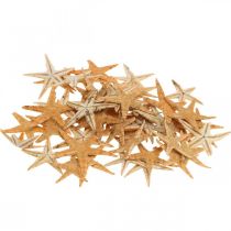 Product Starfish scatter decoration home deco mini starfish nature 2-4cm 50p