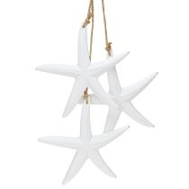 Product Starfish decoration maritime wooden decoration for hanging white with 3 stars 46cm