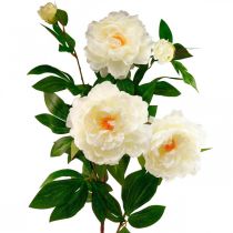Silk flower peony artificial cream white 135cm