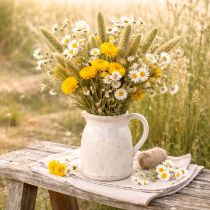 Product Bristle millet (Setaria) dried flowers for rustic and stylish home accessories 75cm 220g