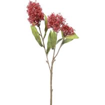 Product Skimmie Skimmia Japonica Artificial Flowers Burgundy DryLook L59cm