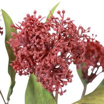 Product Skimmie Skimmia Japonica Artificial Flowers Burgundy DryLook L59cm