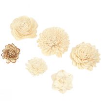 Product Sola Flowers Wooden Wooden Flowers Decoration Mix Cream 6-11cm 12-15 pcs