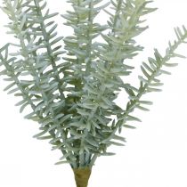 Sprengerie Ornamental Asparagus Artificial Plants Green 23cm 4pcs