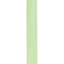 Product Taper candles coloured lime green​​​​​​​ 21×240mm 12 pcs
