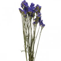 Product Bunch of Sea Lavender, Dried Flowers, Sea Lavender, Statice Tatarica Blue L46–57cm 23g