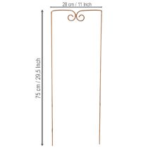Product Trellis, climbing aid, curved decorative element for flower beds and plant pots, 75cm