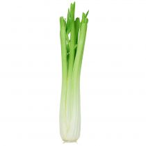 Celery decoration 34cm