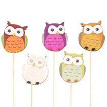 Product Wooden owl plant stakes for flower bouquets and plant pots, 31cm, 12 pieces