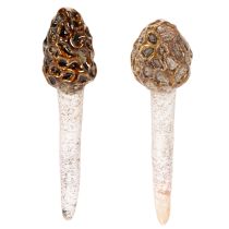 Product Artificial morel mushroom decorative stake for plant pots and table, 13cm, 2 pieces