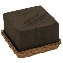 Product Floral foam 1/2 brick OASIS® Renewal® Floral Foam Biolit® 12cm 2S