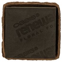 Product Floral foam 1/2 brick OASIS® Renewal® Floral Foam Biolit® 12cm 2S
