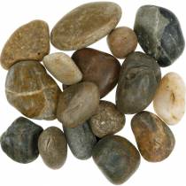 Product River Pebbles Natural Light and Dark 3-6cm 1kg