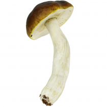 Porcini mushroom brown H8cm - 20cm 6pcs