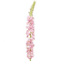 Product Desert tail steppe candle pink 106cm