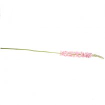 Product Desert tail steppe candle pink 106cm