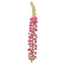 Product Steppe candle desert tail pink 106cm