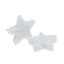 Product Star Glitter 1.5cm for sprinkling white 144pcs