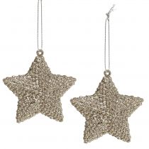 Product Star with mica champagne 7.5cm 12pcs