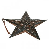 Product Christmas hanger star metal star black H25.5cm