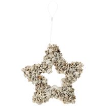 Product Star to hang up Christmas decoration white, glitter Ø15cm