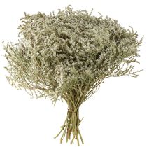 Product Dried flowers beach lavender Statice 2kg natural decoration