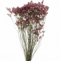Statice, Sea Lavender, Dried Flower, Wildflower Bunch Pink L52cm 23g