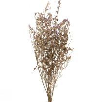 Product Beach Lilac Limonium Dried Flowers Purple 70cm 50g