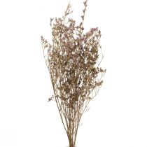Product Sea lavender (Limonium) dried flowers, purple, 70cm, 50g, decoration, natural product