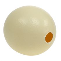 Product Ostrich egg, natural, blown out, empty, decoration