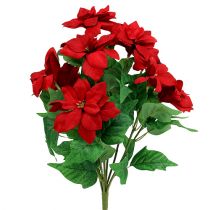 Bouquet of poinsettia red L47cm