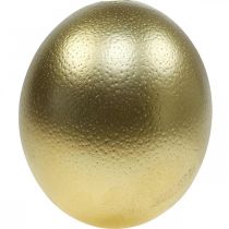 Ostrich egg decoration blown out Easter decoration gold Ø12cm H14cm