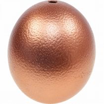 Product Ostrich egg decoration blown out Easter decoration copper Ø12cm H14cm